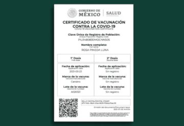 Presentan iniciativa para multar falsificación de Certificado Covid-19