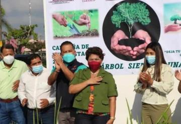 Arranca campaña Siembra un árbol, siembra vida en Cárdenas