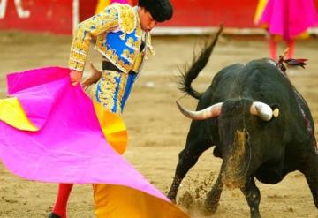 El Comité de Bienestar Animal aprueba prohibición de las corridas de toros en la Ciudad de México