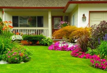 Estas plantas van a mantener a las cucarachas fuera de tu jardín y tu casa