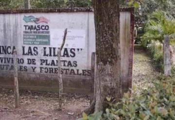 Queda en firma sentencia de la finca las Lilias