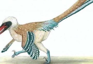 Paleontólogos encuentran nuevo dinosaurio depredador, muy similar a un ave