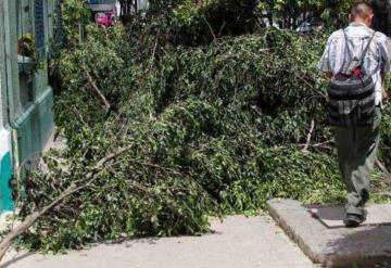 Activan alerta en CDMX por fuertes vientos para esta tarde y noche