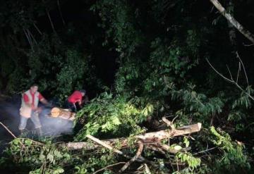 Liberan carril en carretera Tapijulapa-Oxolotán