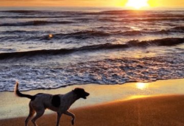 Las tres playas más baratas de México