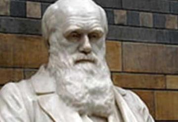 El sexismo victoriano influyó en las teorías de evolución de Darwin: investigadores