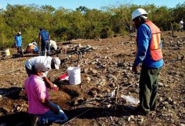 En salvamento, más de 3 mil 500 vestigios arqueológicos hallados en obras del Tren Maya entre Izamal y Cancún