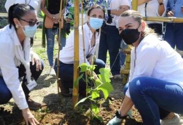 Emprende DIF programa “Huerto en Casa”