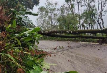 Lluvias provocan deslizamiento de tierra en la carretera Tapijulapa-Oxolotán