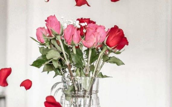 Diez de las flores más bonitas para demostrar afecto.