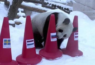 Pandas predicen quién liderará el medallero de los Juegos Olímpicos de Beijing 2022