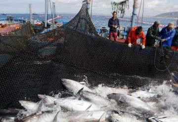 Prohíbe EE. UU. entrada a pesqueros mexicanos por pesca ilegal en el Golfo de México