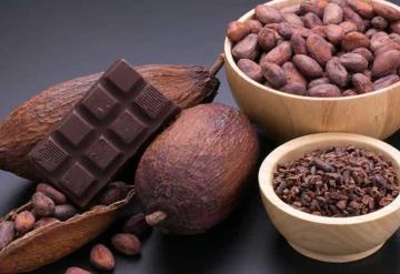 México ocupa el 13 lugar en producción mundial de cacao