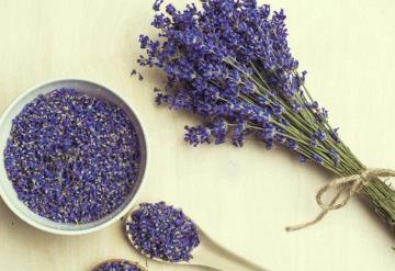 Beneficios de la lavanda para la piel y la salud