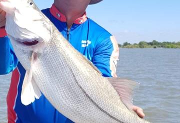 Rodrigo Kishi encabeza el XXIII Torneo Internacional de pesca del Róbalo en Balancán, Tabasco, México 2022