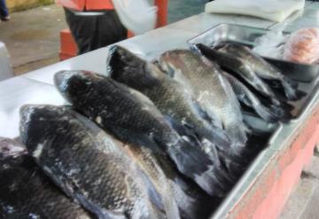 Escasea mojarra por falta de producción en el estado: Líder de expendedores de pescado