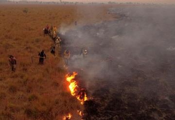 En Argentina, incendio provocó la pérdida de uno de los humedales de agua dulce más grandes del mundo