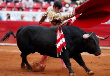 Ciudad de México cerca de abolir corridas de toros