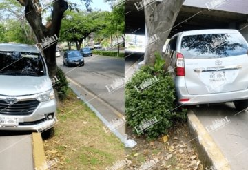 Auto colisiona contra un árbol sobre Paseo Tabasco