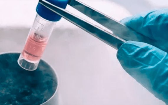Clínica de fertilidad deberá congelar embriones de una mujer como indemnización