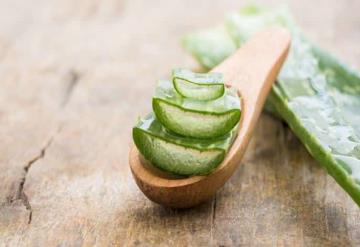 Aloe vera: 5 beneficios que aportan a tu piel que probablemente no conocías