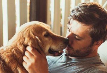 El amor de un perro es verdaderamente medicinal, revela un nuevo estudio