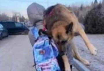 Mujer cargó a su perro por 17 km para huir de Ucrania