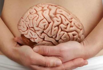 El segundo cerebro, el verdadero responsable de la salud 