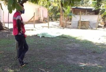 Un hombre de la tercera edad cae de un árbol y pierde la vida en Comalcalco