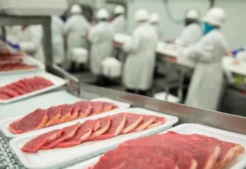 México continúa liderando abasto de carne a mercado de EU: Grupo Consultor de Mercados Agrícolas