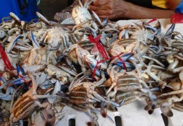 Vendedores de pescado y camarón reportan bajas ventas en Paraíso