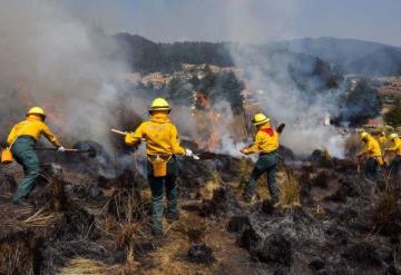 En lo que va del año, más de mil incendios forestales en el país