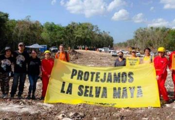 PAN pide comparecencia de Semarnat, Fonatur y Profepa ante Senado por obra del Tren Maya