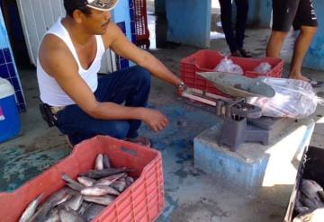 Garantizan cooperativistas abasto de pescado nativo en Cuaresma y Semana Santa 