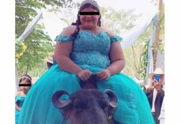 Quinceañera llega montada en un búfalo a su festejo en Veracruz; se vuelve viral