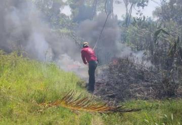 Sofocan incendio forestal cerca de planta potabilizadora de Jalapa