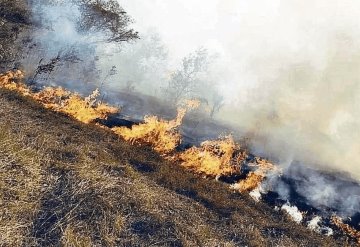 Cinco mujeres mueren tras un incendio forestal en Guatemala