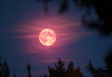 Te decimos cuándo y cómo ver la luna rosa de Abril