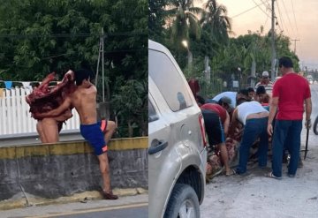 Habitantes del lugar, destazaron a vaca accidentada