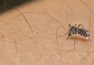 Surge un caso similar al dengue hemorrágico en Jalpa de Méndez