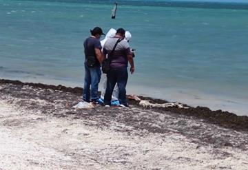 Bañistas hallan huesos humanos en playa de Quintana Roo