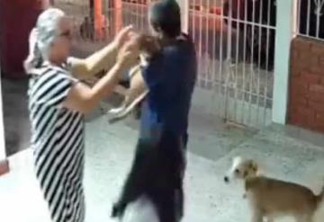 Video: Familia reacciona ante el regreso de su perrito perdido