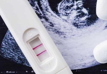 Casa Blanca tacha de radical la ley recién promulgada en Florida que prohíbe el aborto