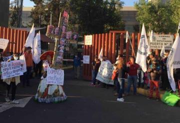 Manifestantes se reúnen en la Cámara de Diputados a favor de la reforma eléctrica