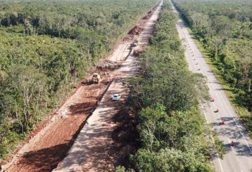 Juez suspende obras del tren maya por posible afectación ambiental