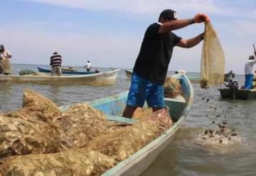 Con tecnología de laboratorio, Tabasco busca rescatar potencial de bancos ostrícola de Cárdenas y Paraíso