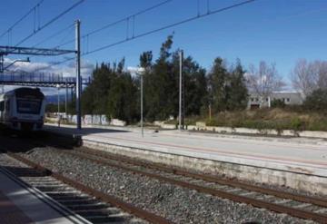 Muere joven al tratar de salvar a un perro de ser atropellado por un tren