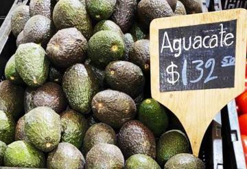 Sube de precio el aguacate, mientras que el limón disminuye