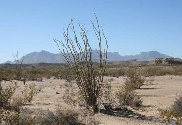 Rescatan a joven poblano perdido en el desierto de Texas