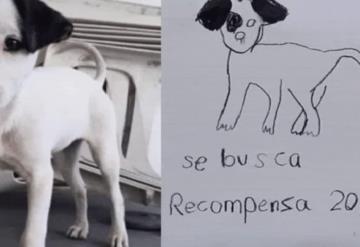 Hermanitas que difundieron dibujo de su perrito perdido en Nuevo León logran recuperarlo